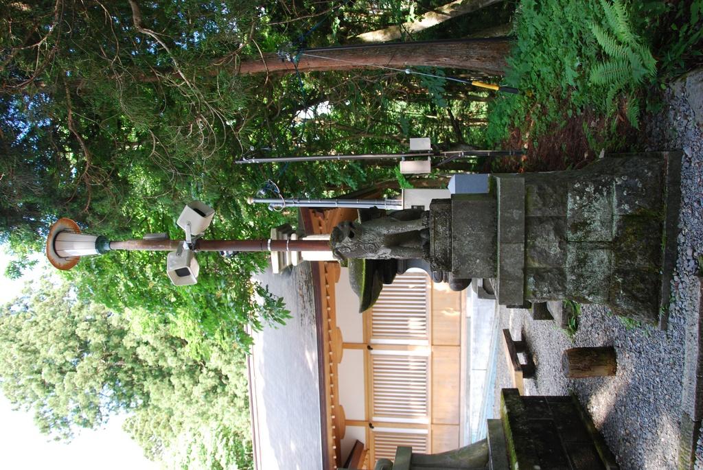 DSC_0767.JPG