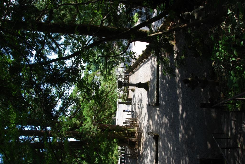 DSC_0775.JPG