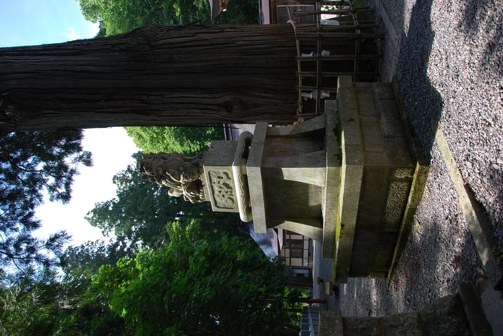 DSC_0771.JPG