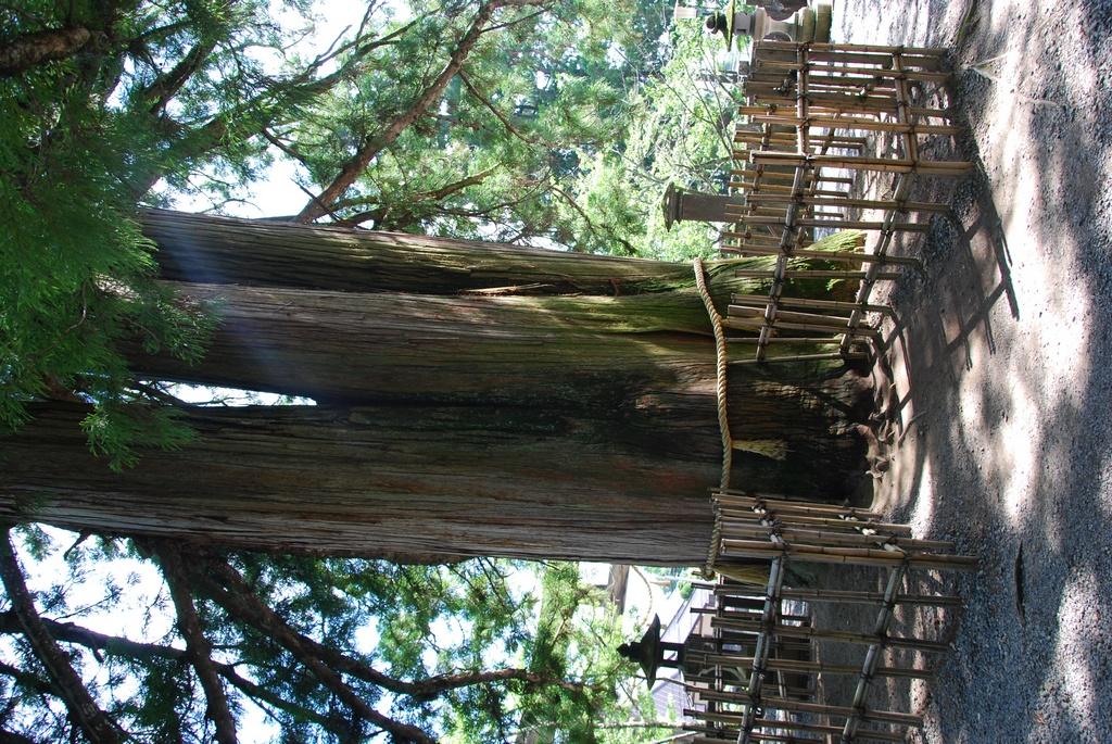 DSC_0782.JPG
