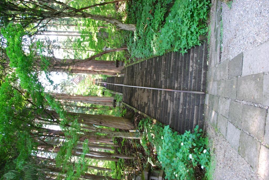 DSC_0800.JPG