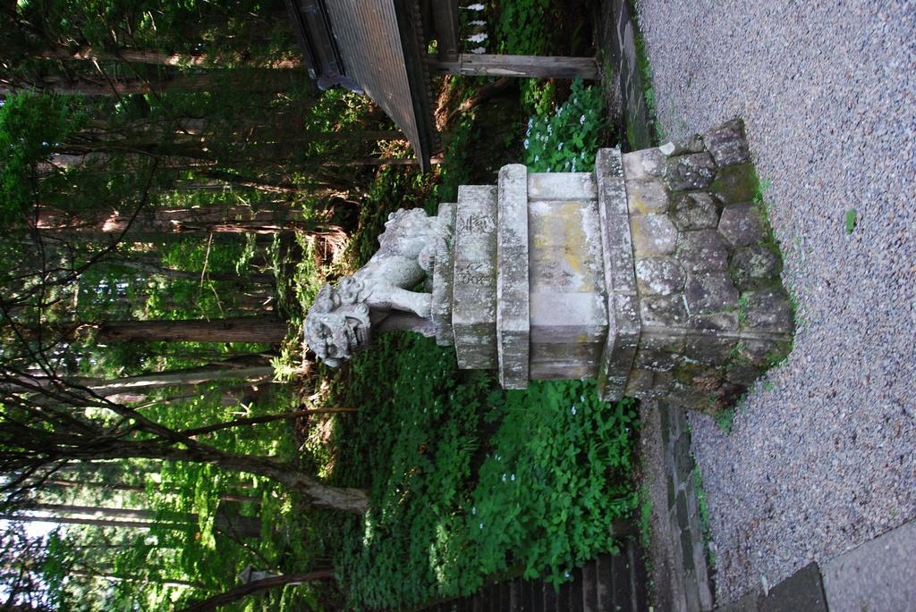DSC_0802.JPG