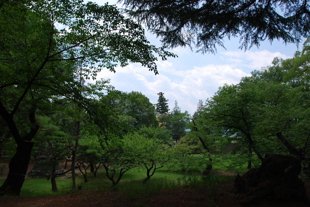 DSC_0047.JPG