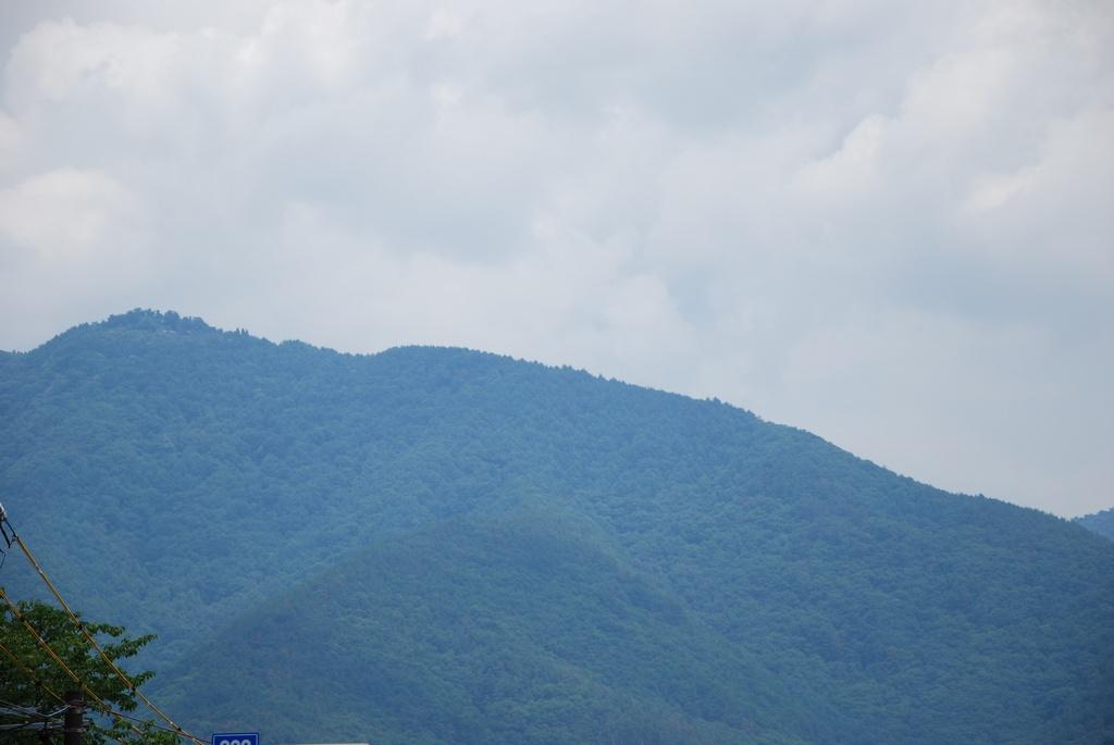 DSC_0010.JPG