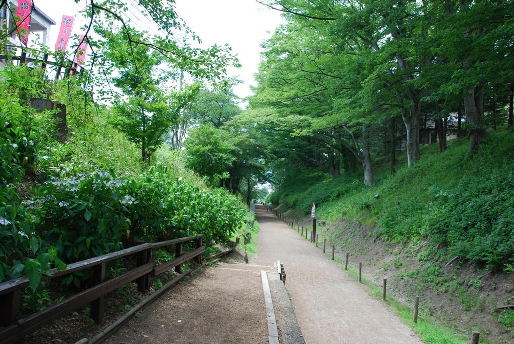 DSC_0013.JPG