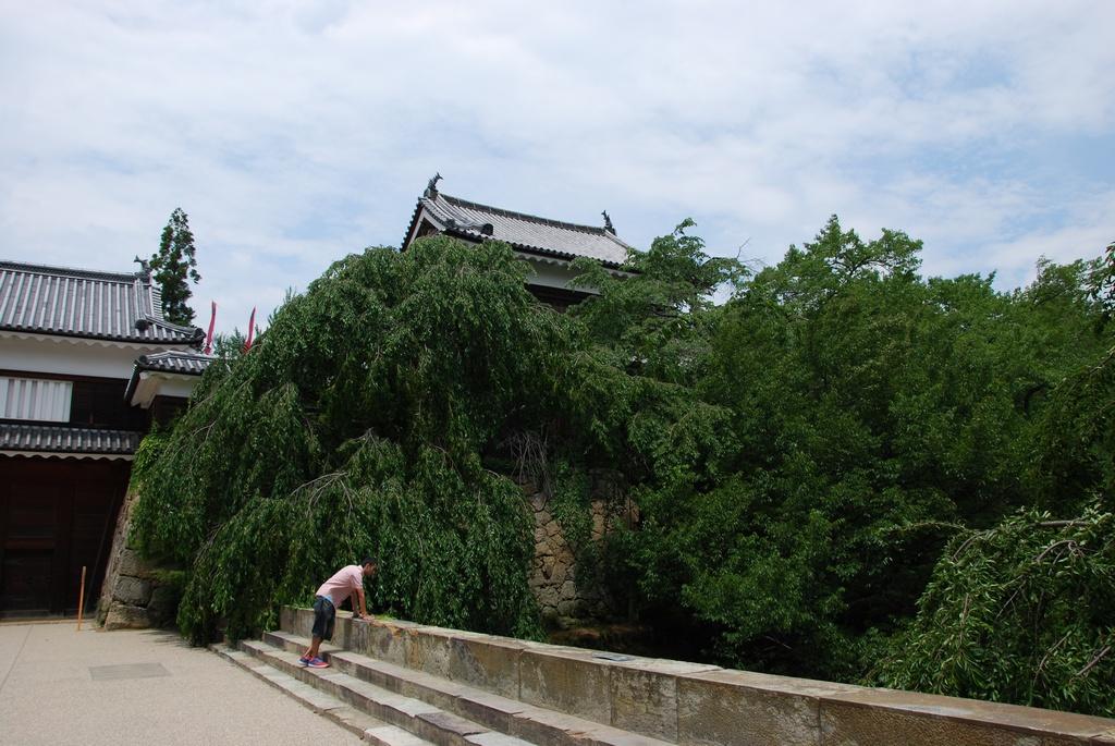 DSC_0025.JPG