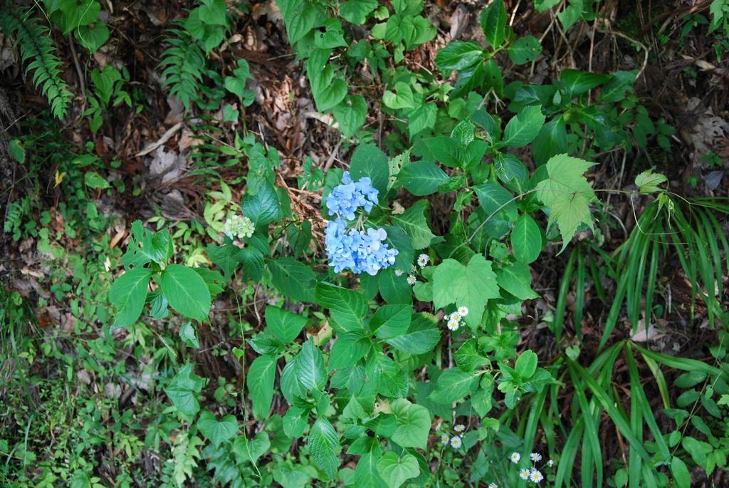 DSC_0116.JPG