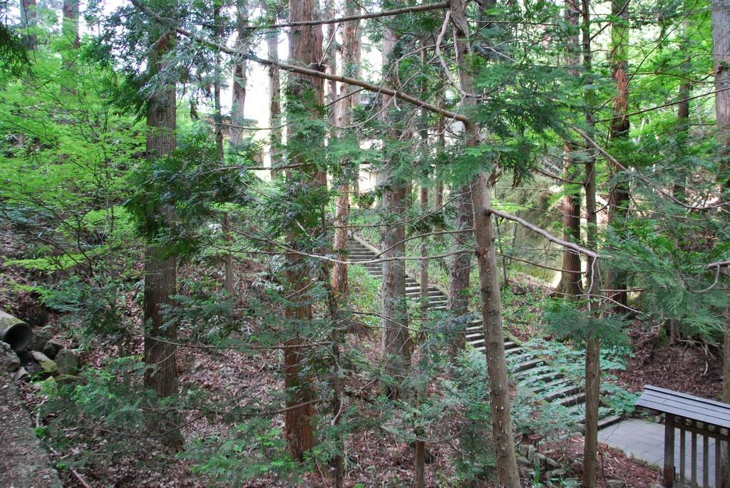 DSC_0120.JPG