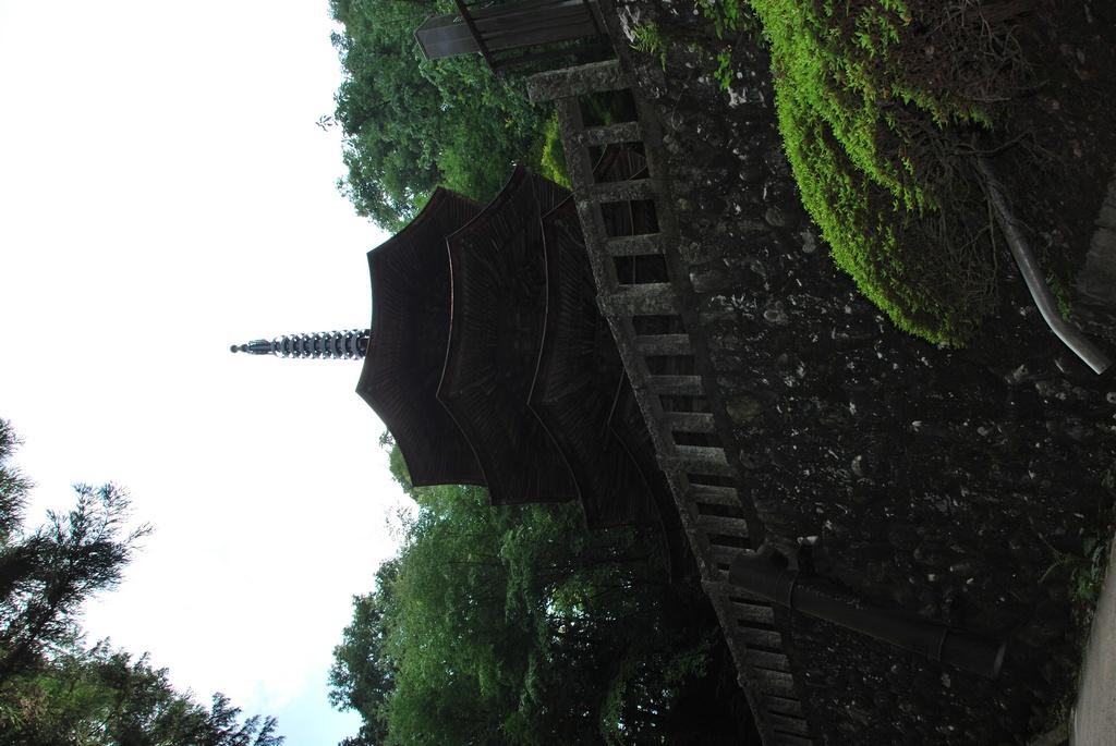 DSC_0146.JPG