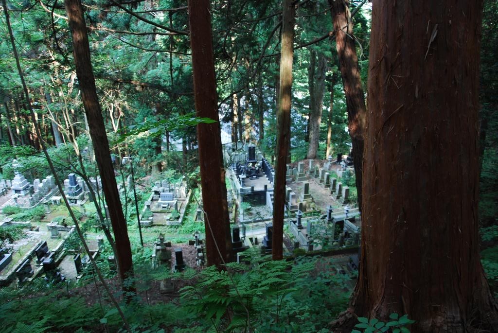 DSC_0155.JPG
