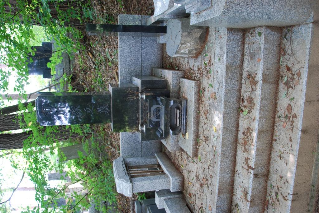DSC_0165.JPG