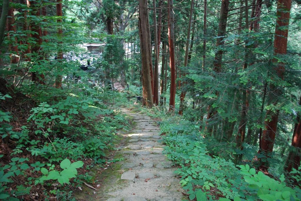 DSC_0168.JPG