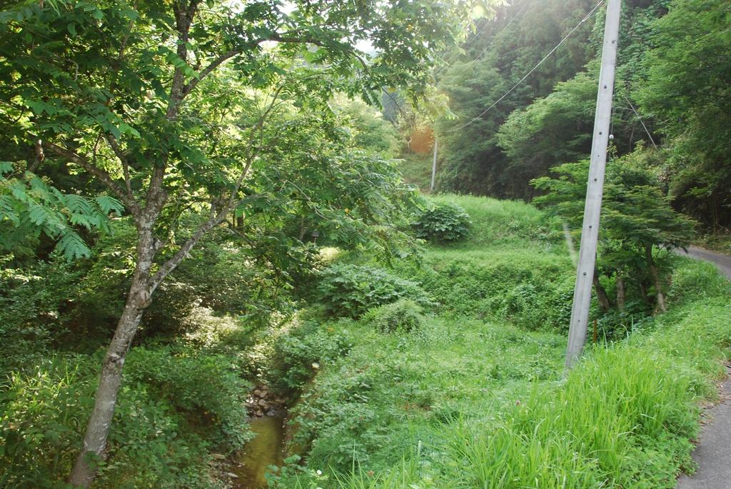 DSC_0185.JPG