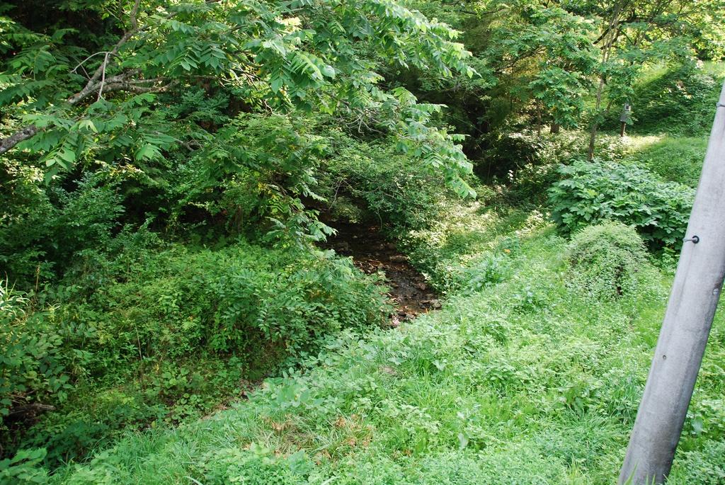 DSC_0186.JPG