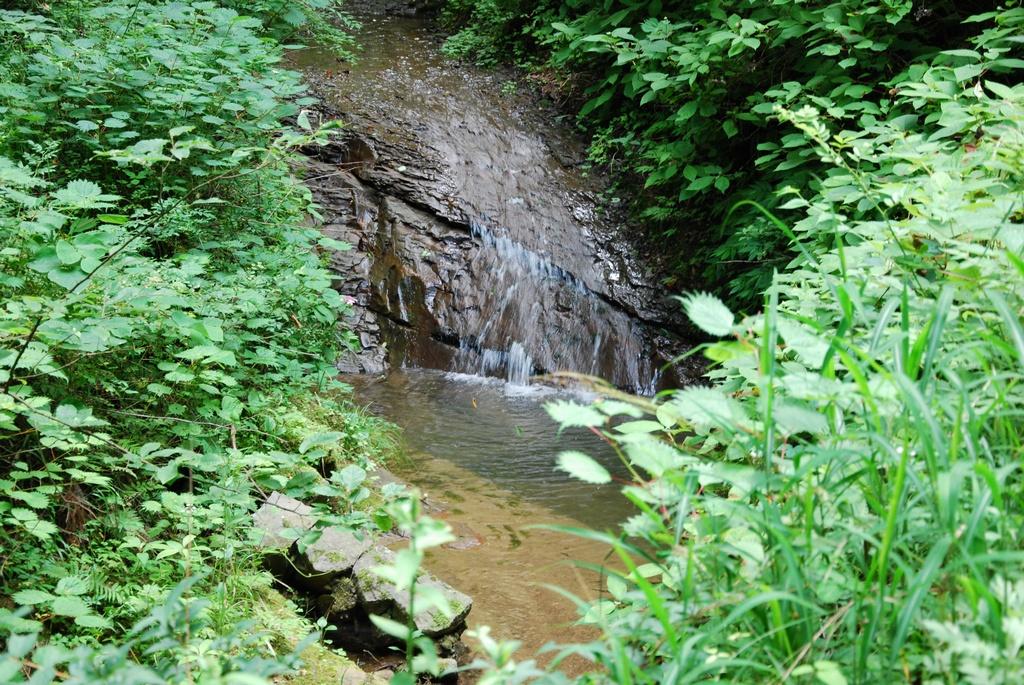 DSC_0199.JPG