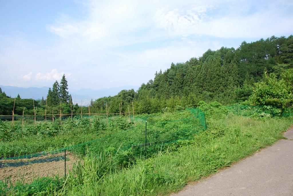 DSC_0190.JPG