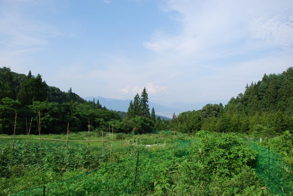 DSC_0191.JPG