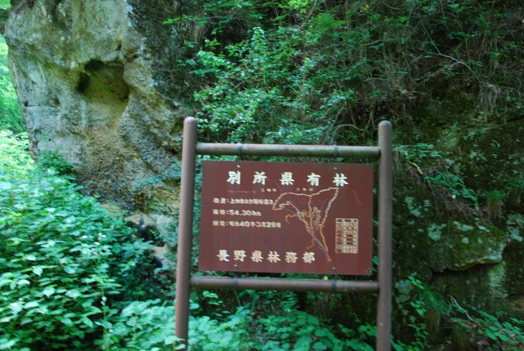 DSC_0207.JPG