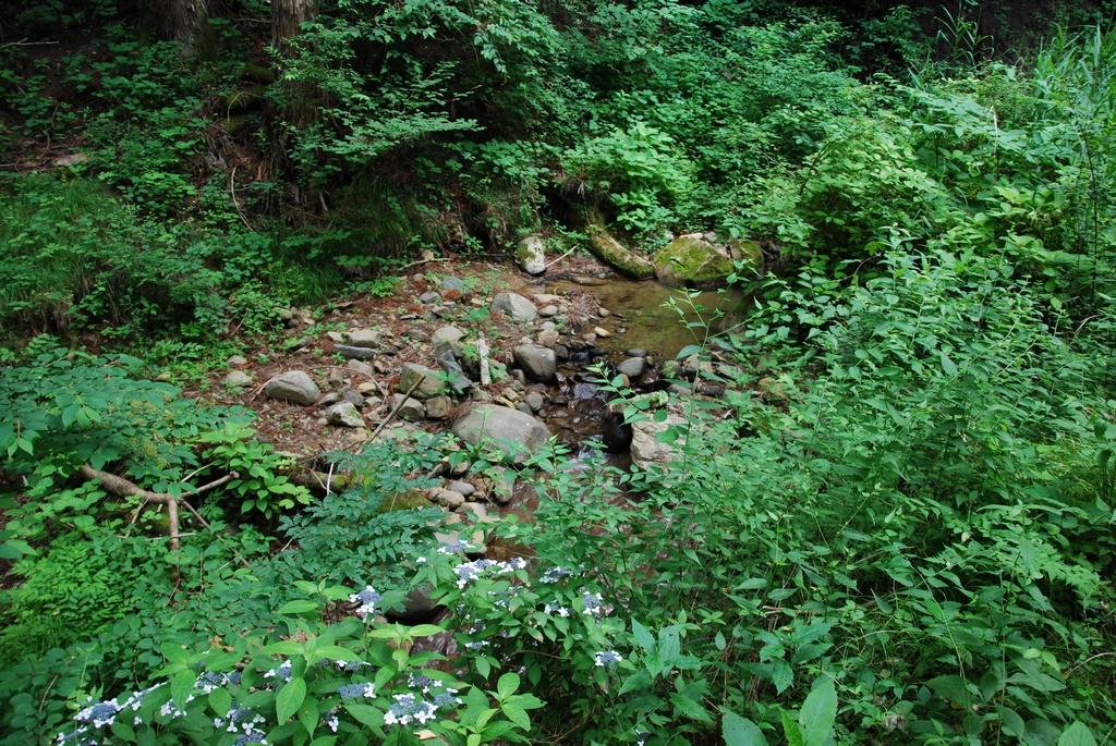DSC_0200.JPG