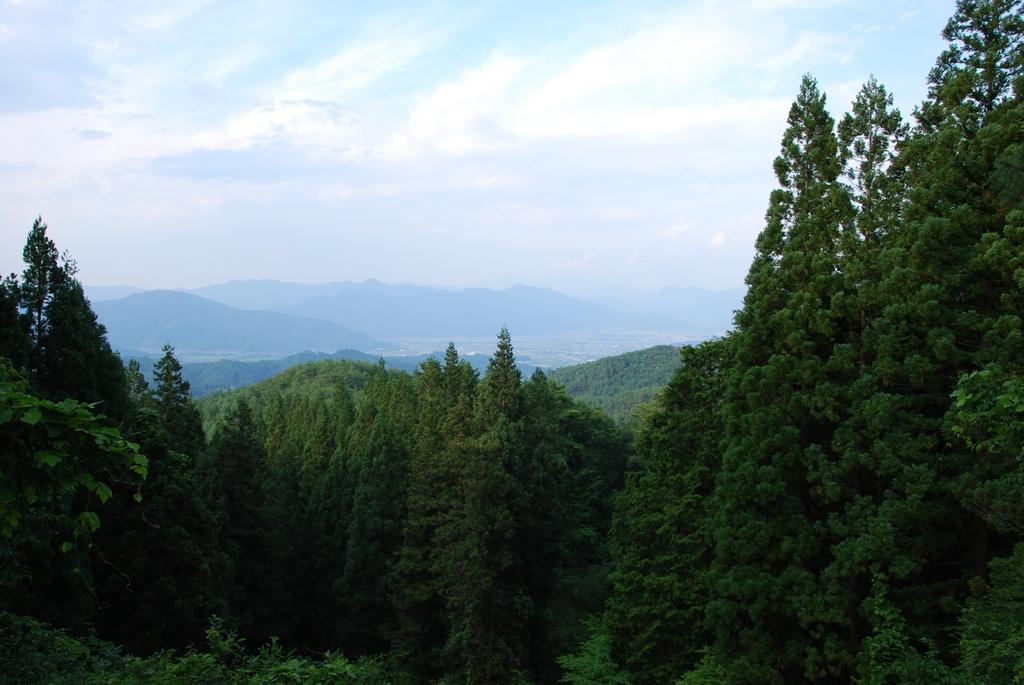 DSC_0219.JPG