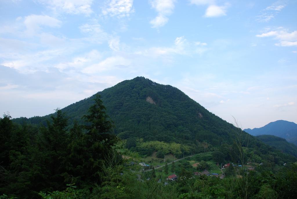 DSC_0226.JPG