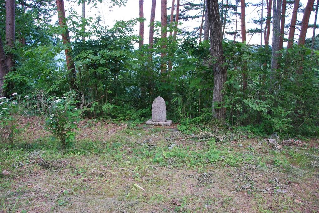 DSC_0228.JPG