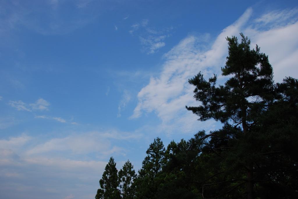 DSC_0222.JPG