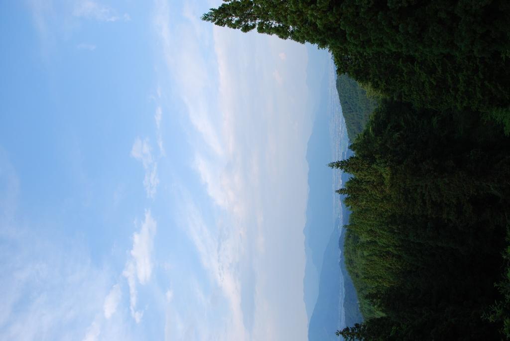 DSC_0223.JPG