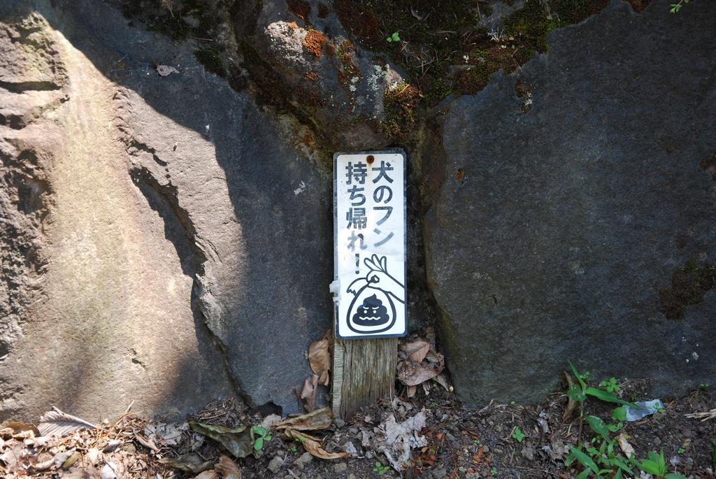 DSC_0259.JPG
