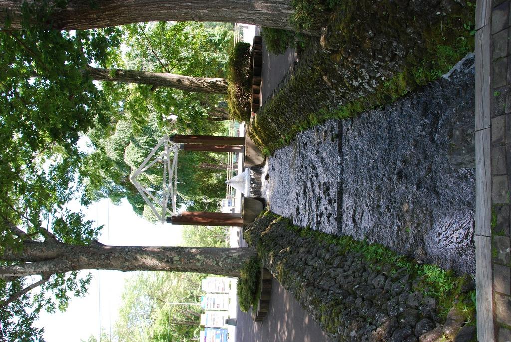 DSC_0276.JPG