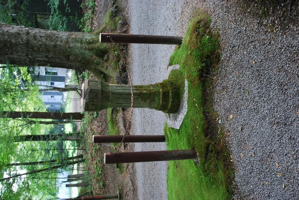 DSC_0297.JPG