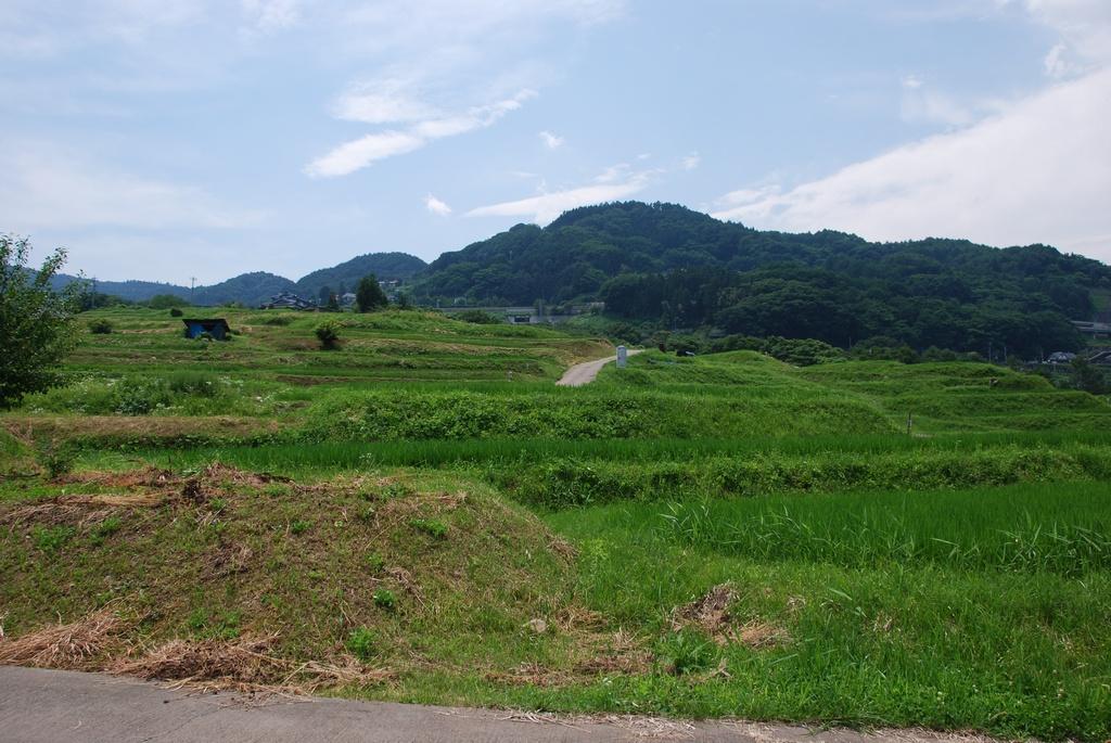 DSC_0341.JPG