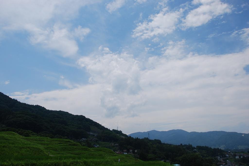 DSC_0342.JPG