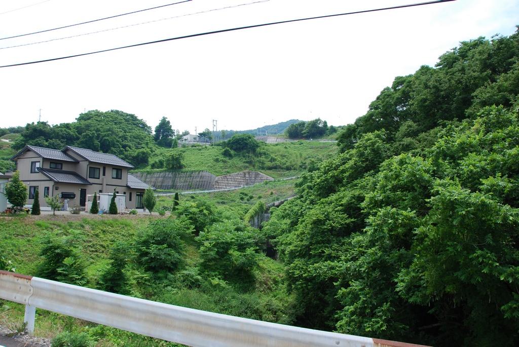 DSC_0313.JPG