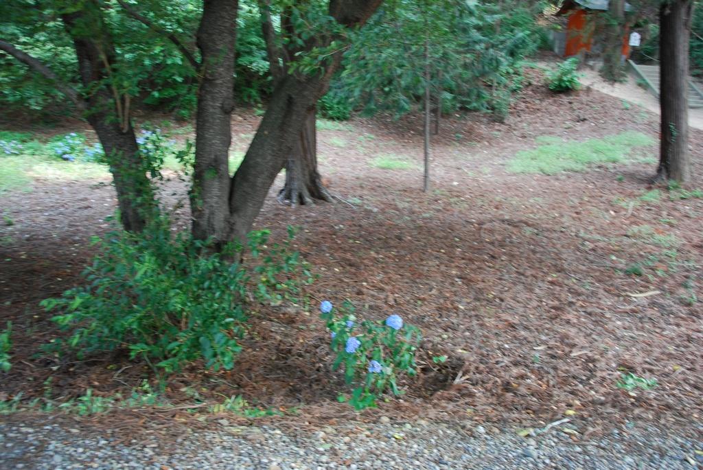 DSC_0408.JPG