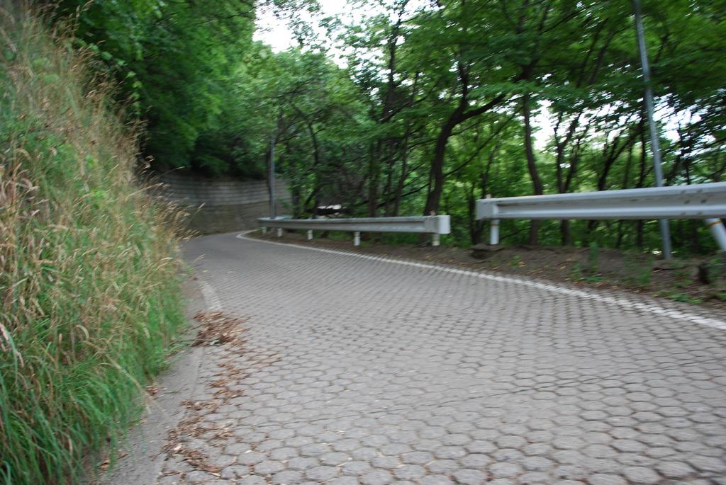 DSC_0424.JPG