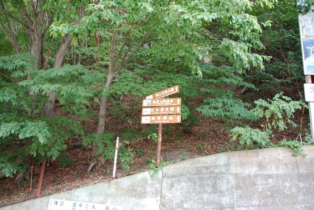 DSC_0420.JPG