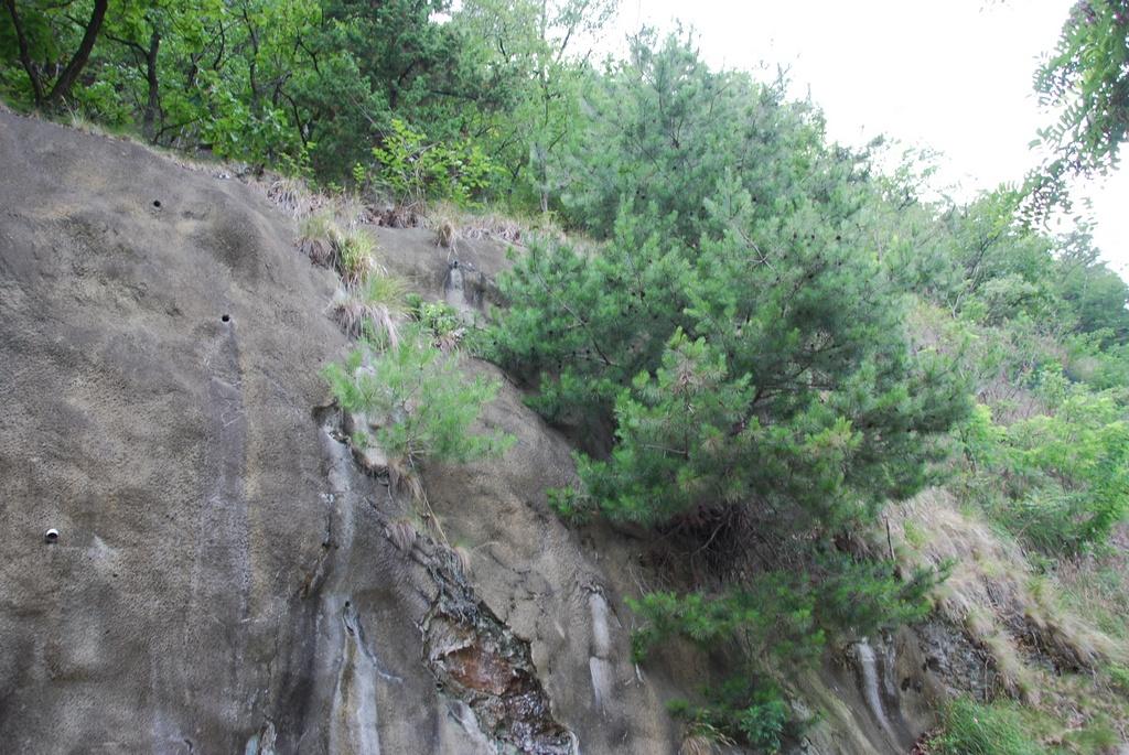 DSC_0421.JPG