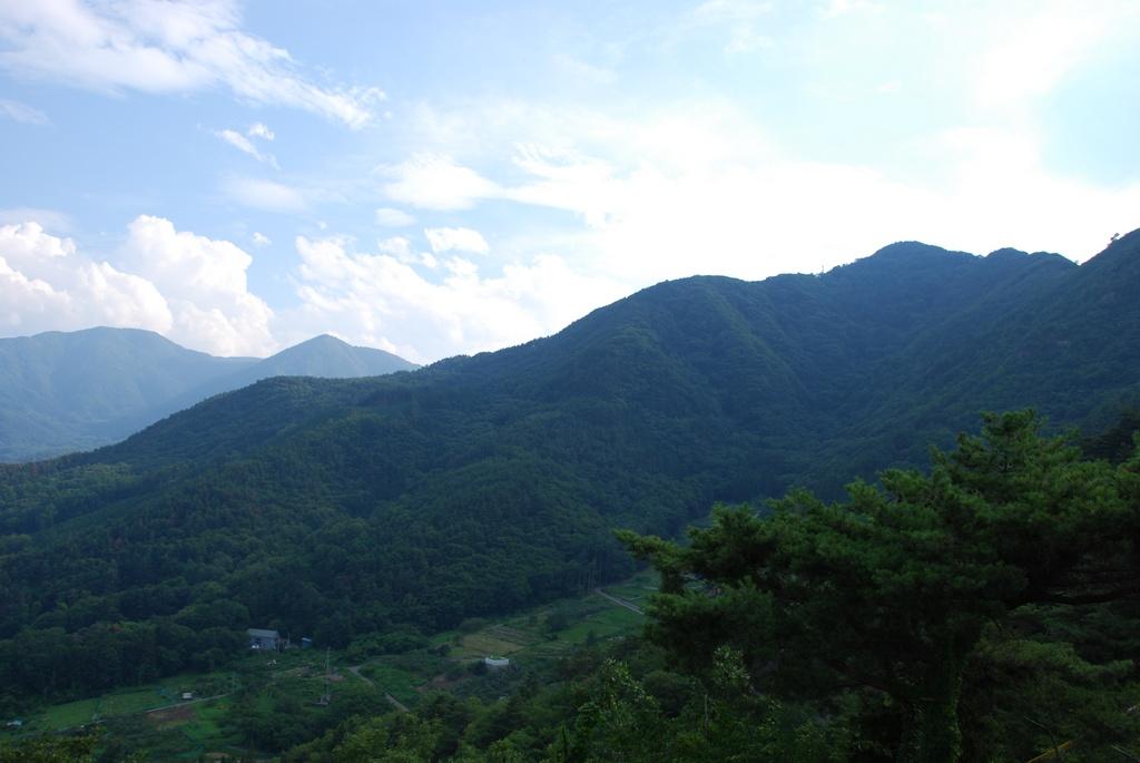 DSC_0479.JPG
