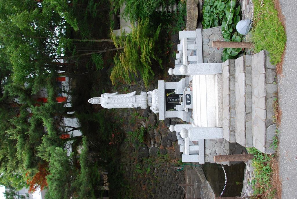 DSC_0516.JPG