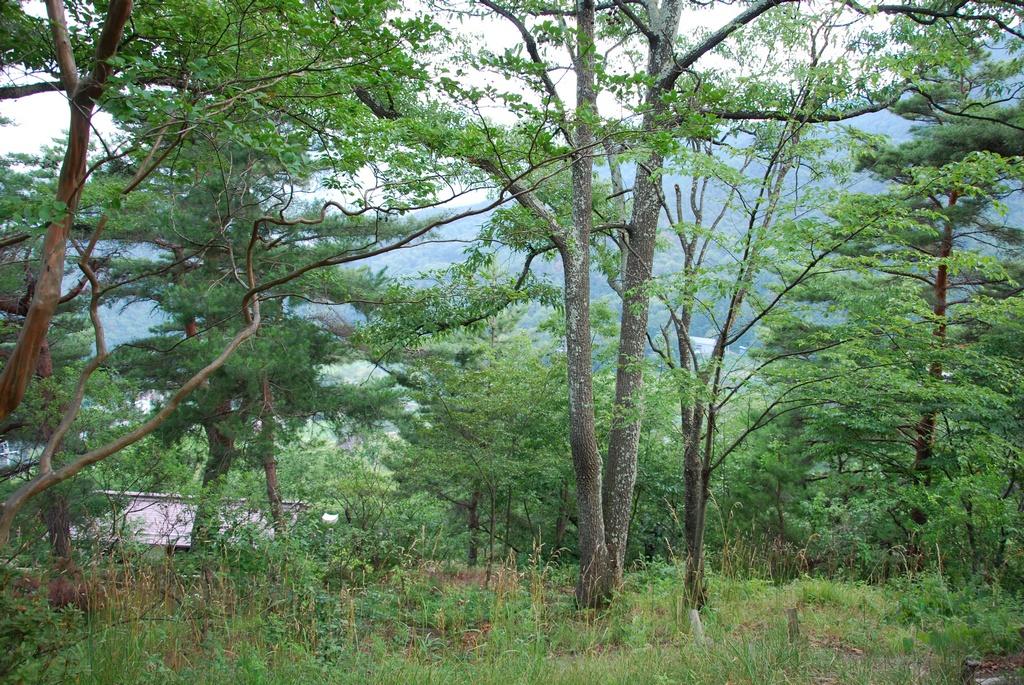 DSC_0510.JPG