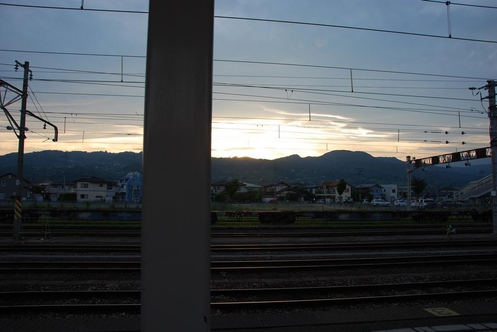 DSC_0529.JPG