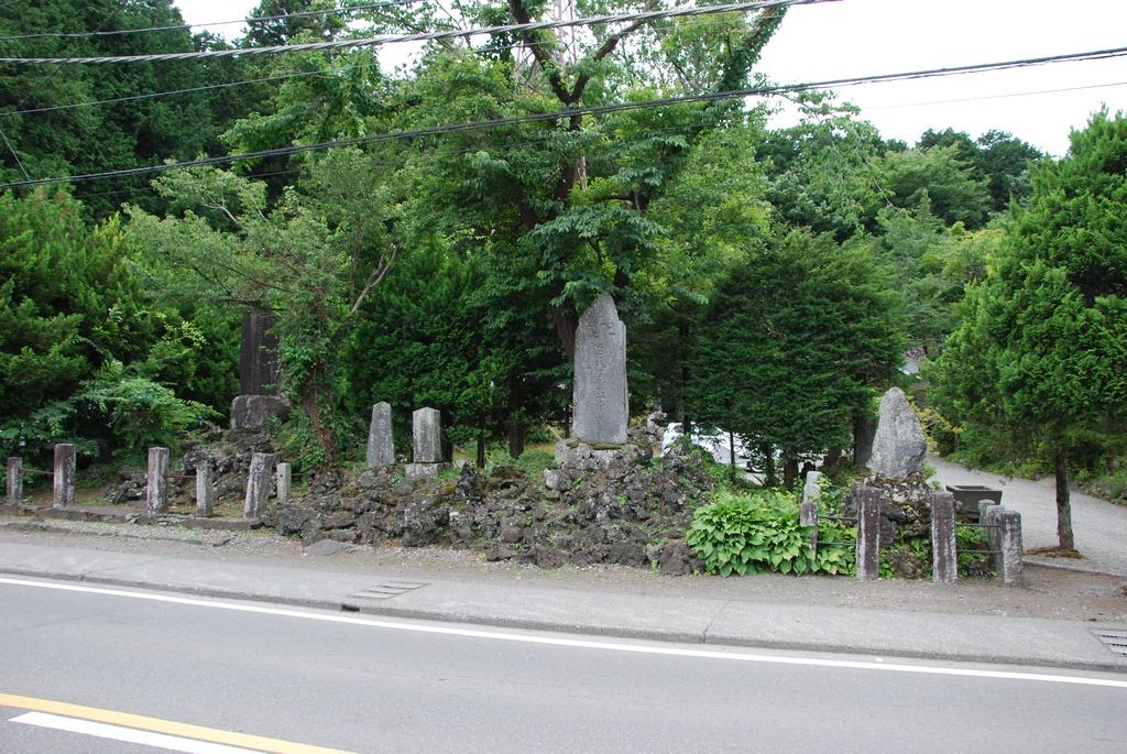 DSC_0949.JPG