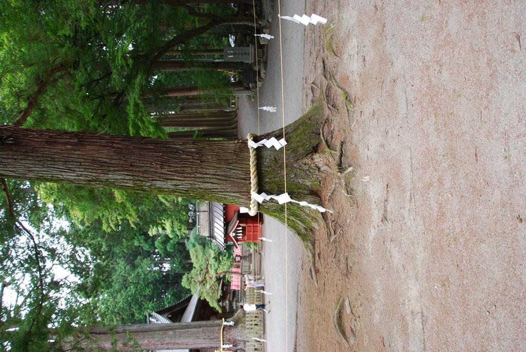 DSC_0965.JPG