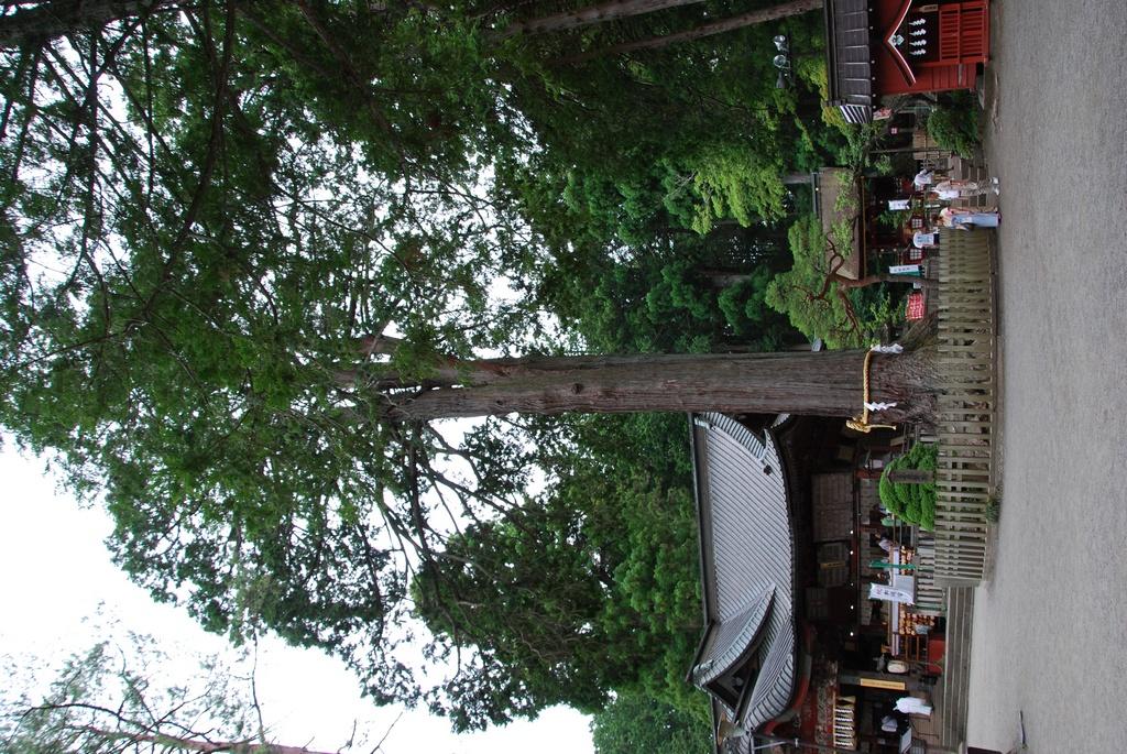 DSC_0966.JPG