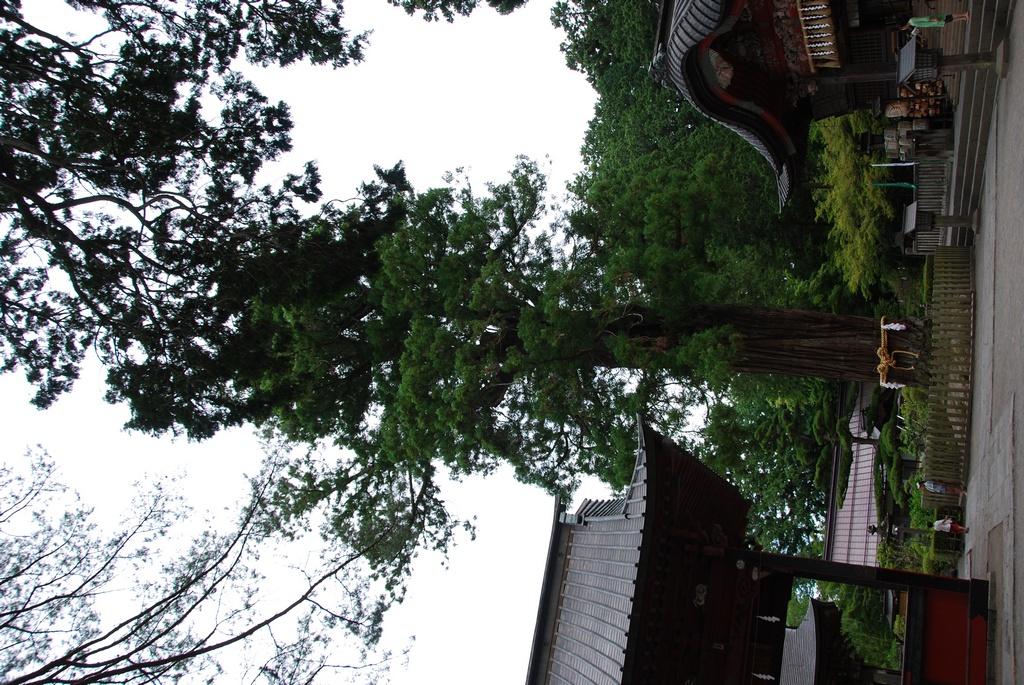 DSC_0968.JPG