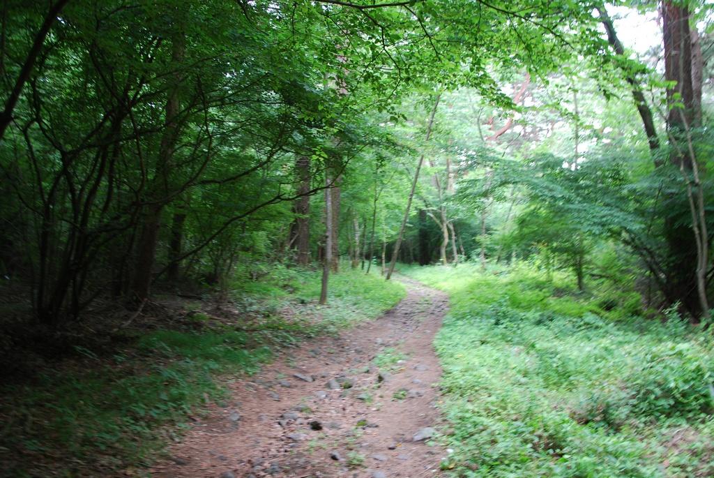 DSC_0981.JPG