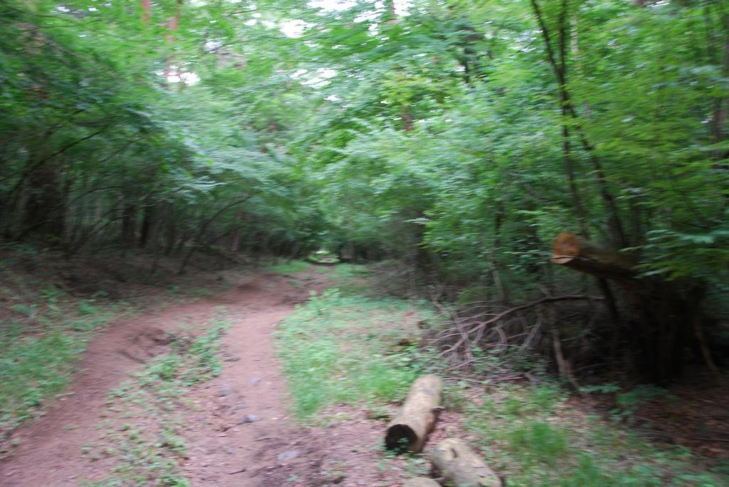 DSC_0982.JPG