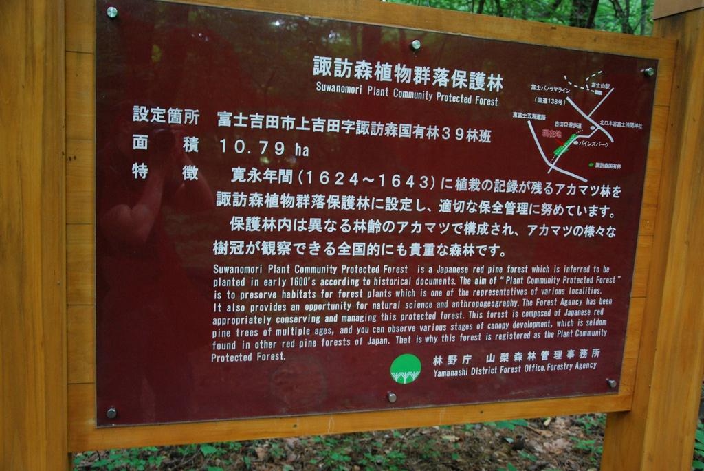 DSC_0984.JPG