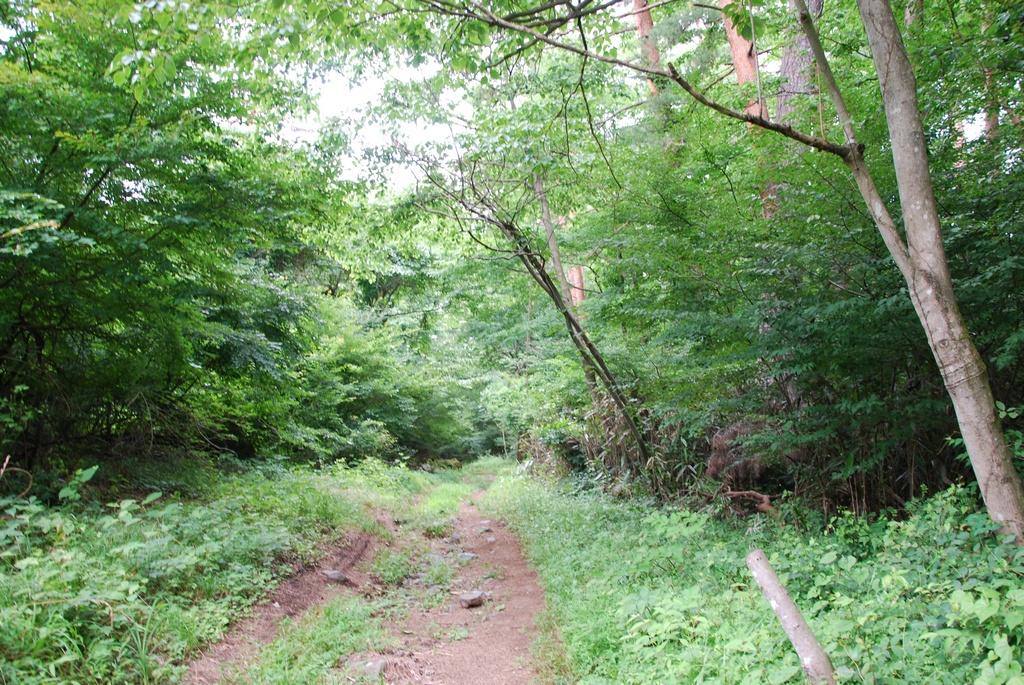 DSC_0988.JPG